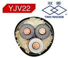 廣州電纜型號YJV22鎧裝電纜產品橫截面